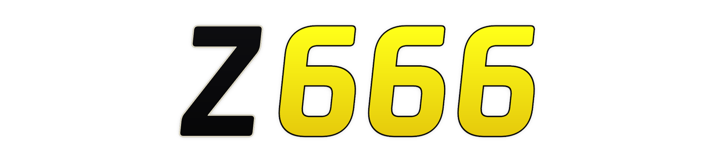 z666